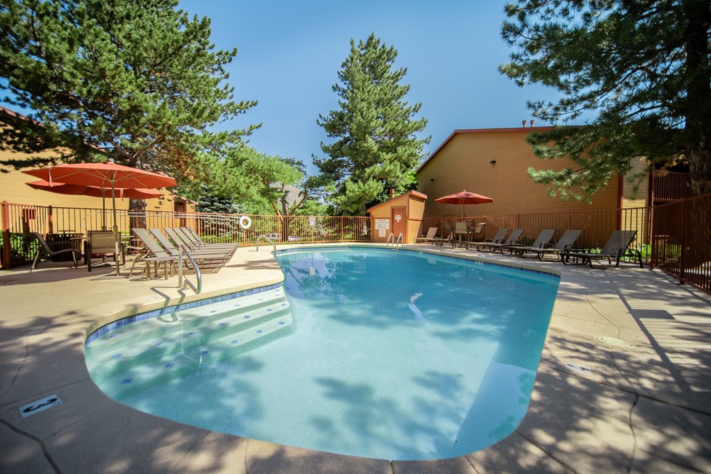 A swimming pool surrounded by trees and chairs.
