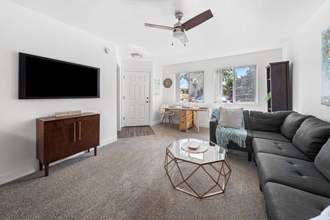 A living room with a grey couch and a black TV on the wall.