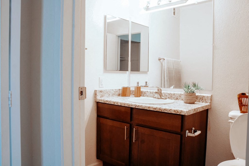 a bathroom with a sink and a toilet