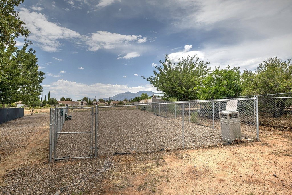 the entrance to the dog park is through a chain link fence