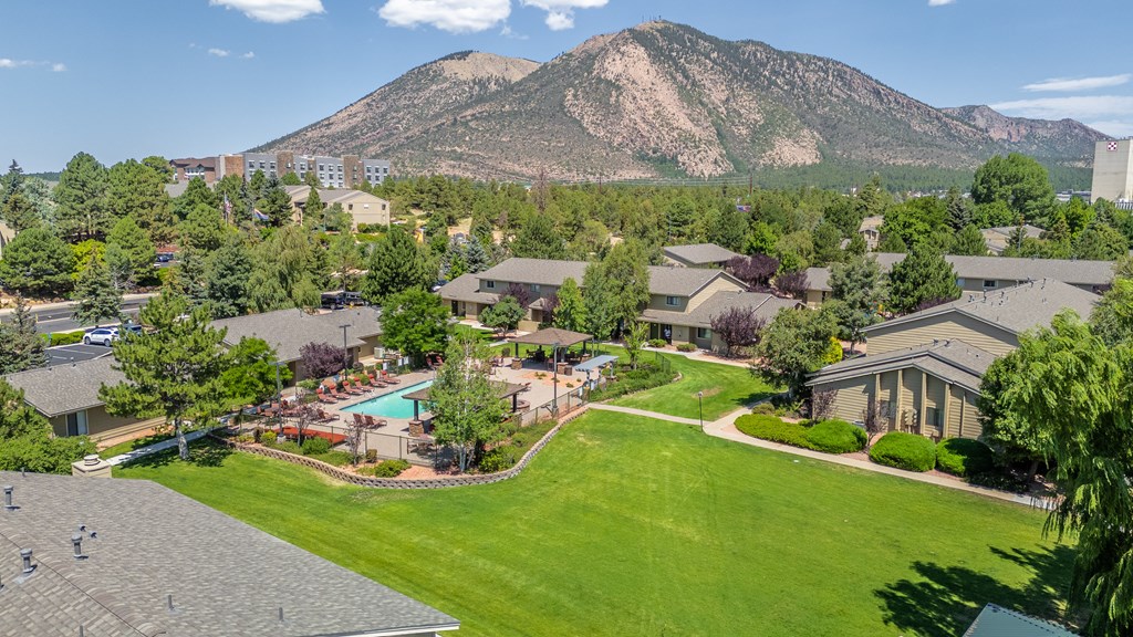 A mountain is in the background of a residential area.