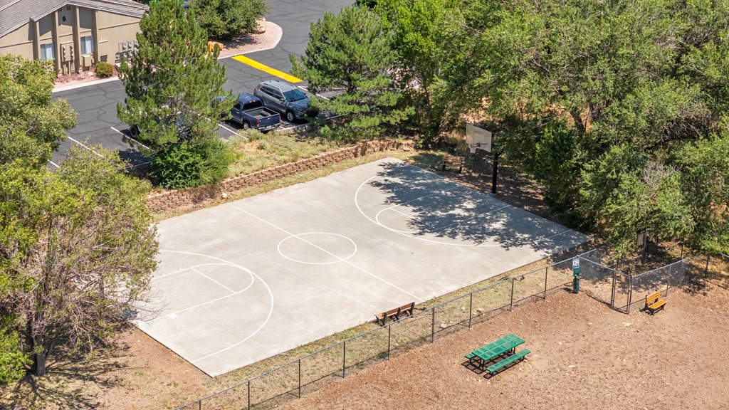 A basketball court surrounded by trees and a fence.