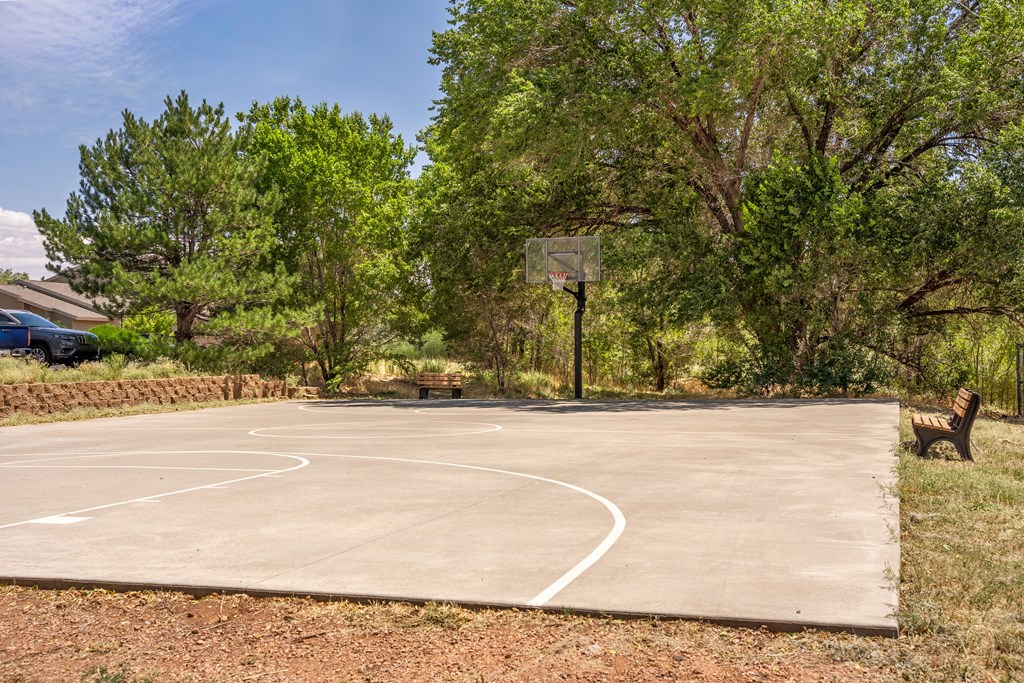 A basketball court surrounded by trees and a bench.