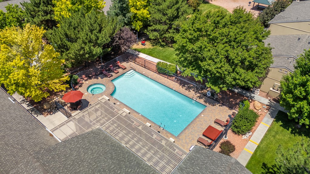 An aerial view of a swimming pool surrounded by trees.