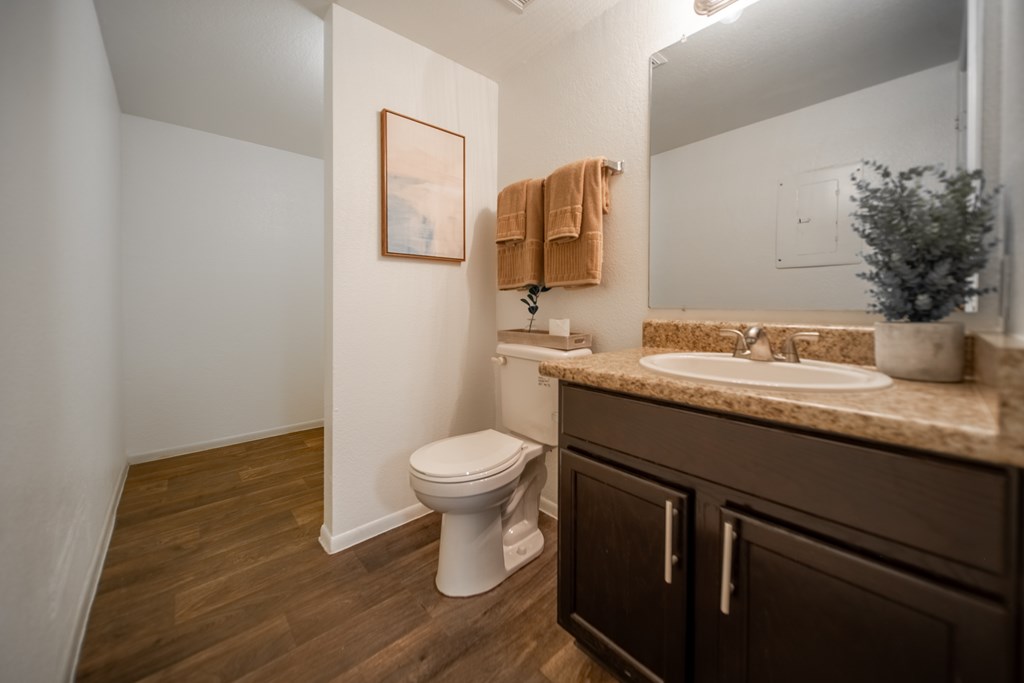 A bathroom with a toilet, sink, and wooden floors.