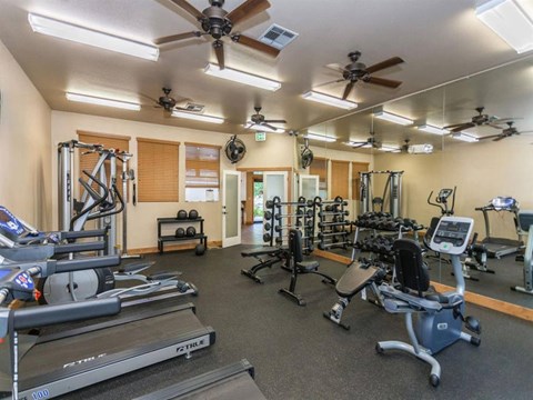 A gym with treadmills, exercise bikes, and other equipment.