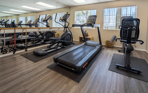 A gym with treadmills, elliptical machines, and a stationary bike.