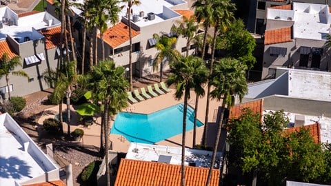 A swimming pool surrounded by palm trees and buildings.