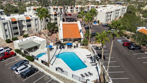 A swimming pool is surrounded by a parking lot and palm trees.