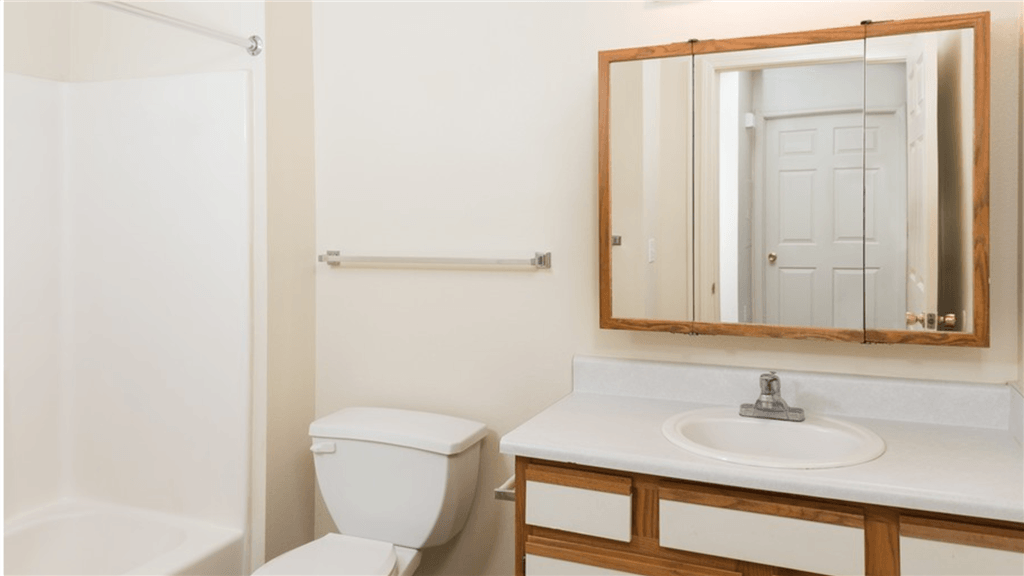 a bathroom with a toilet and a sink and a mirror