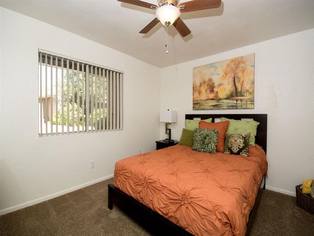 Bedroom With Expansive Windows at Country Club Terrace Apartments, Flagstaff, AZ, 86004