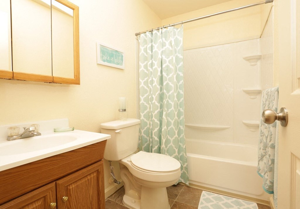 a bathroom with a toilet and a bathtub with shower and a sink
