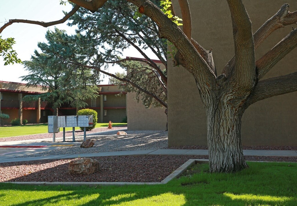 a tree with mailboxes and landscaping at apartments for rent