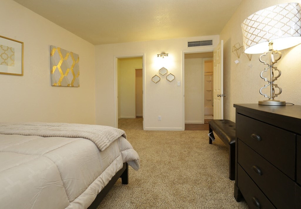 a bedroom with a bed and a dresser and a closet