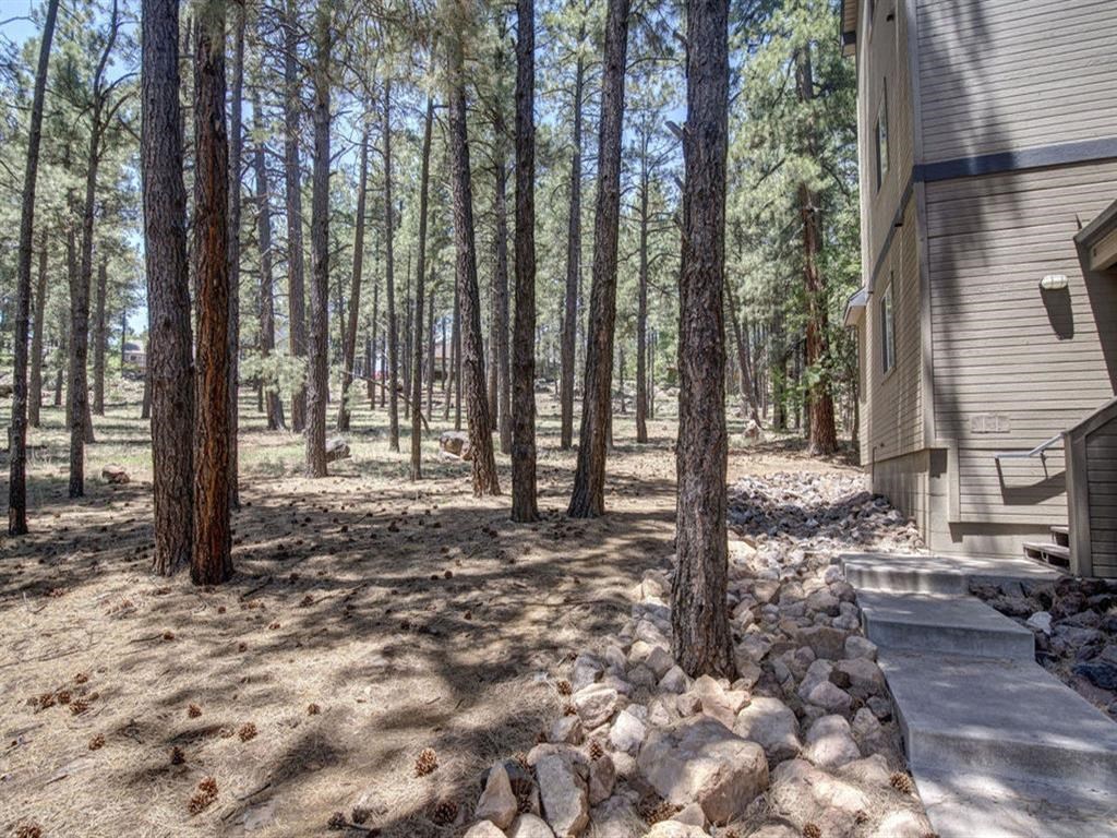 Green Spaces With Mature Trees at Highland Village Apartments, Flagstaff, AZ, 86001