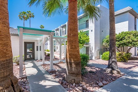 Building Exterior showing white stucco with Palm Trees.