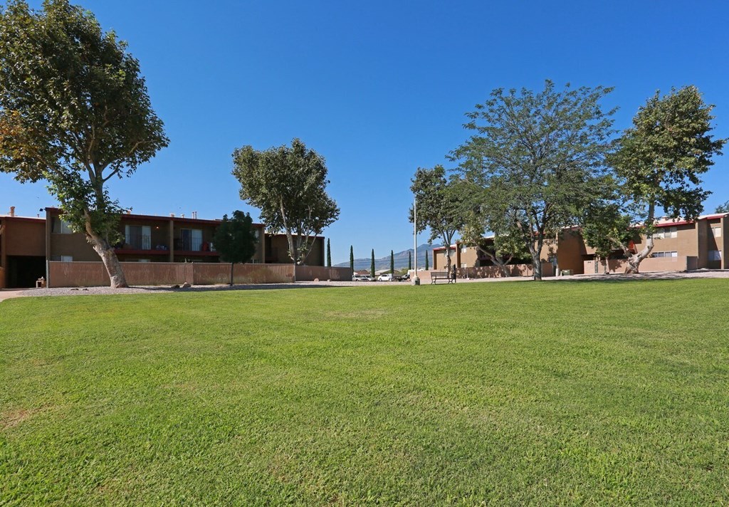 a large lawn in front of a building with trees