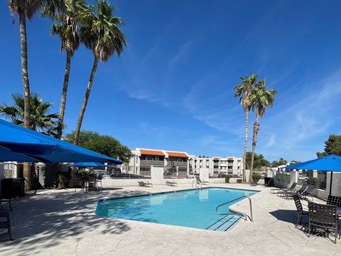a swimming pool with palm trees in the background