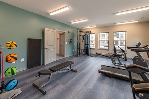 A gym with a variety of equipment including treadmills, weights, and exercise balls.