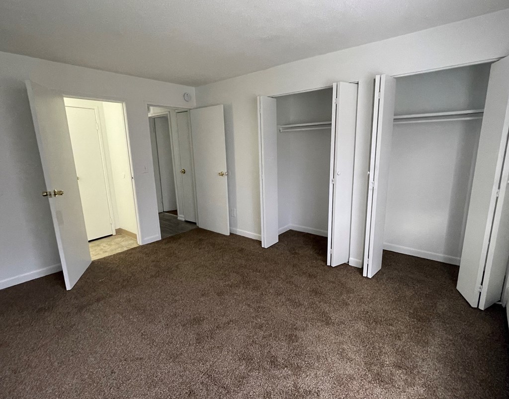 a room with carpet and closet doors