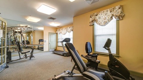 A well-equipped gym with treadmills, weights, and mirrors.