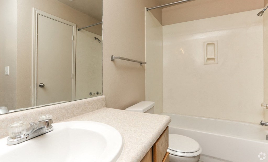 a bathroom with a sink and a toilet and a shower