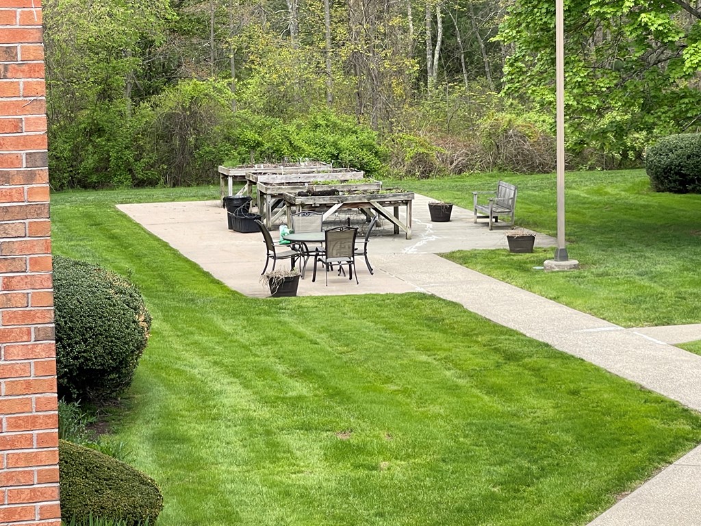 Outdoor Seating Area