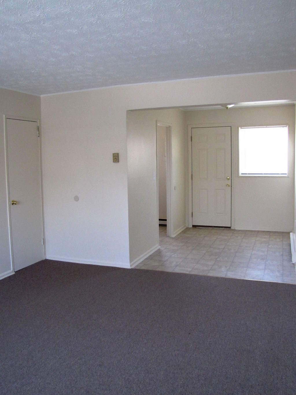 Living Room/Main Entrance