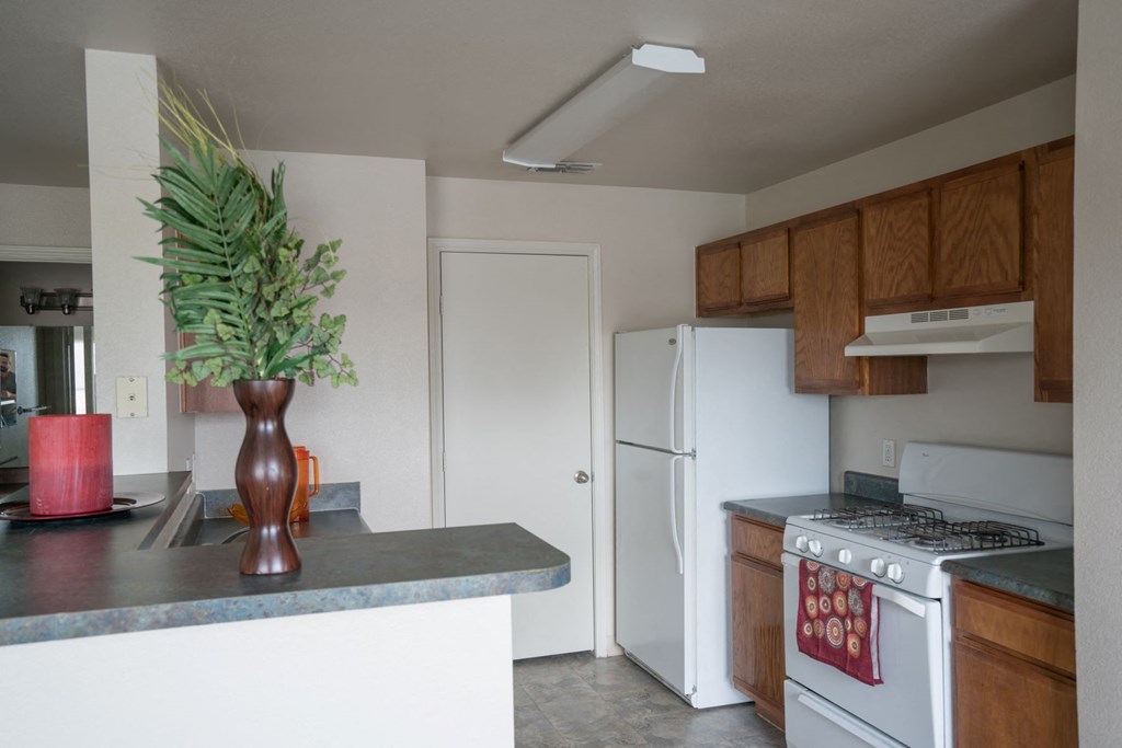 a kitchen with white appliances and a plant on the counter
