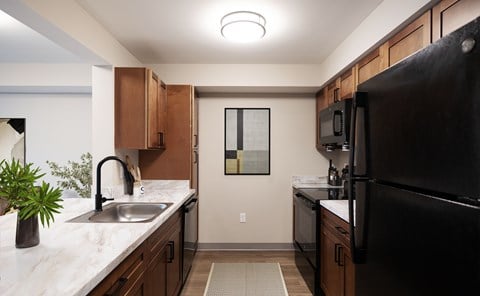 A kitchen with a black refrigerator and a sink with a potted plant on the counter.