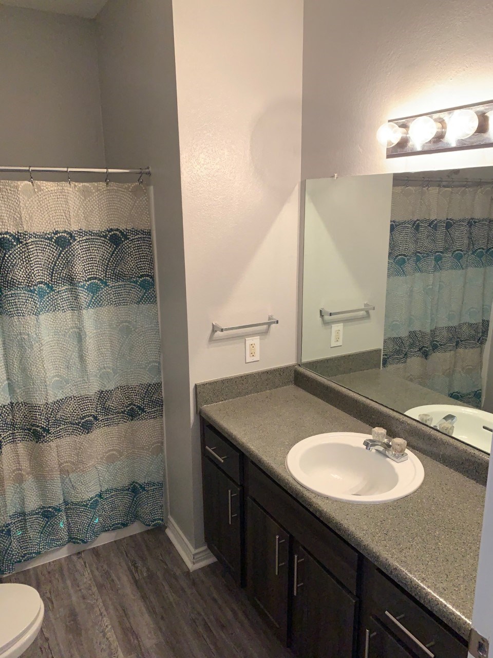 a bathroom with a sink and a mirror and a shower