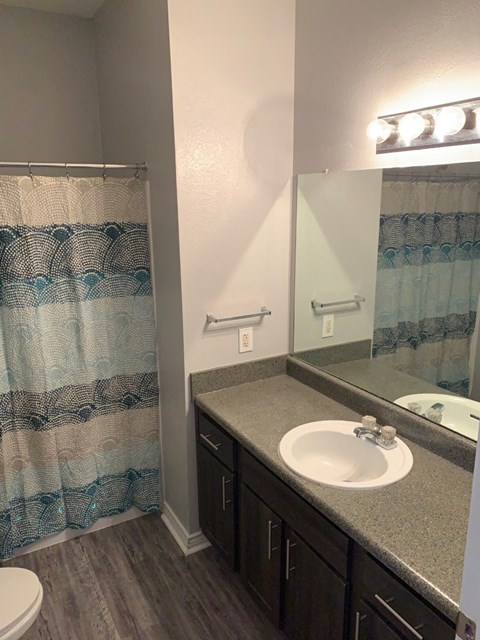 a bathroom with a sink and a mirror and a shower