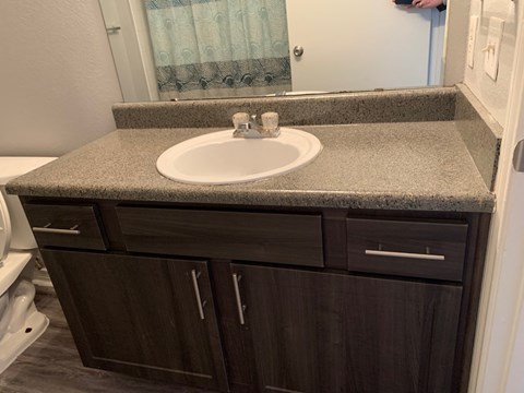 a bathroom with a sink and a mirror