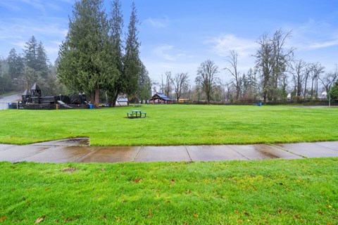 a park with a grass field and a playground