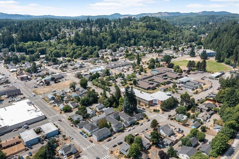 arial view of a city with lots of houses and trees