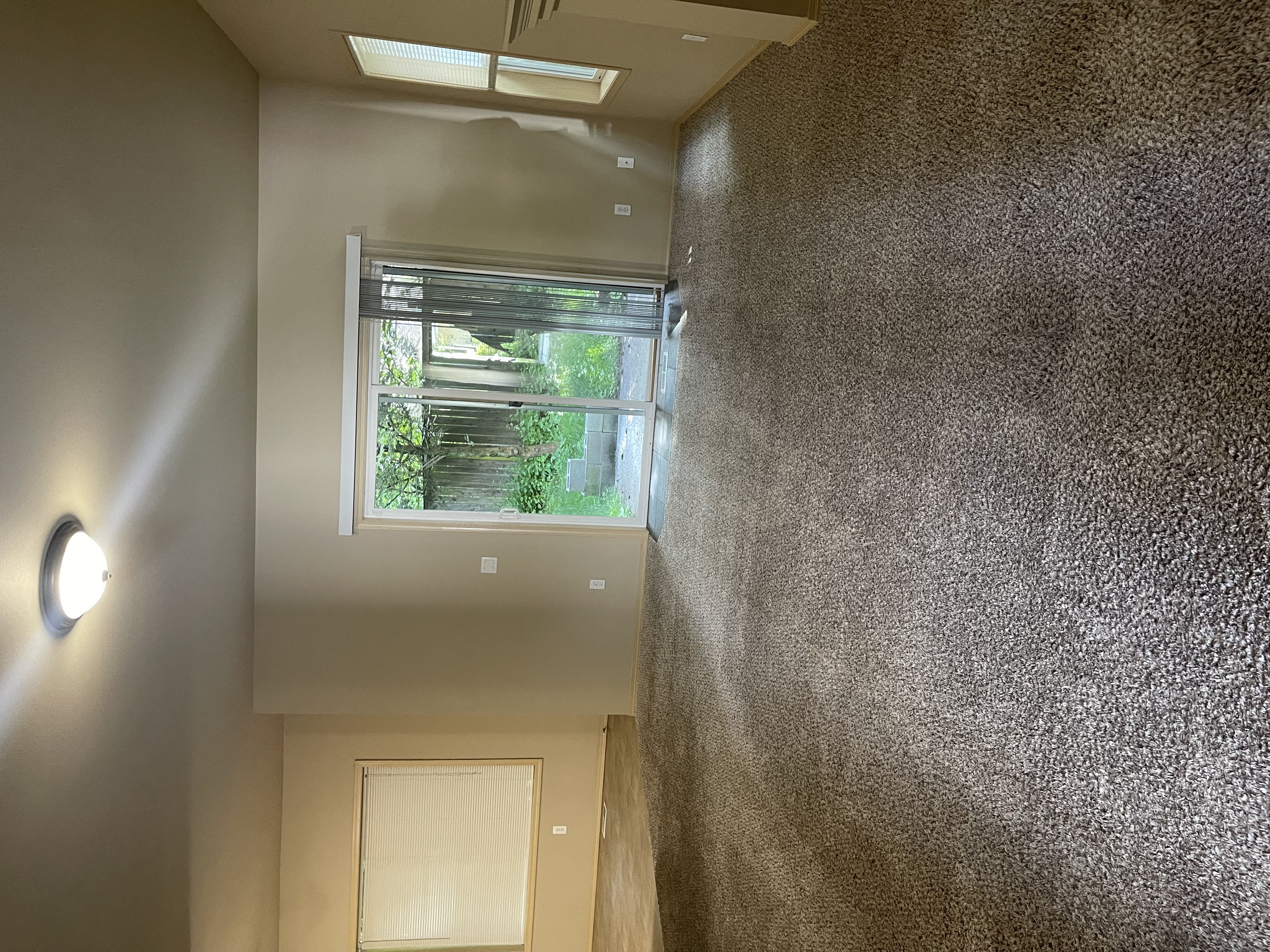 A wall with a textured surface and a window with a view of trees.
