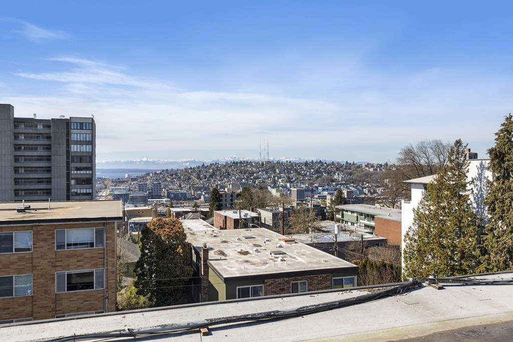 the view of the city from the roof of a building