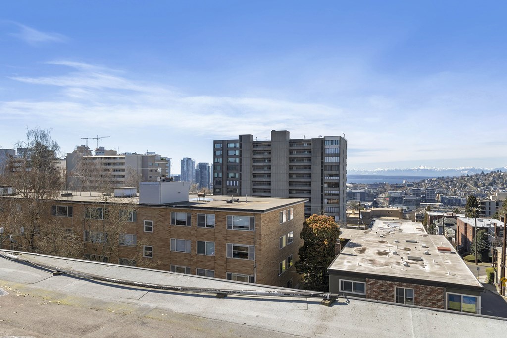 the view of the city from the roof of a building