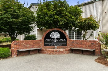 Arbol Grande Arbol Grande - Photo Gallery 4
