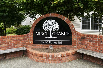 Arbol Grande Arbol Grande - Photo Gallery 5