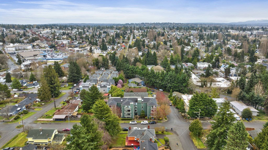 an aerial view of a neighborhood with houses and trees
