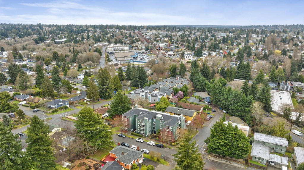 an aerial view of a city with houses and trees
