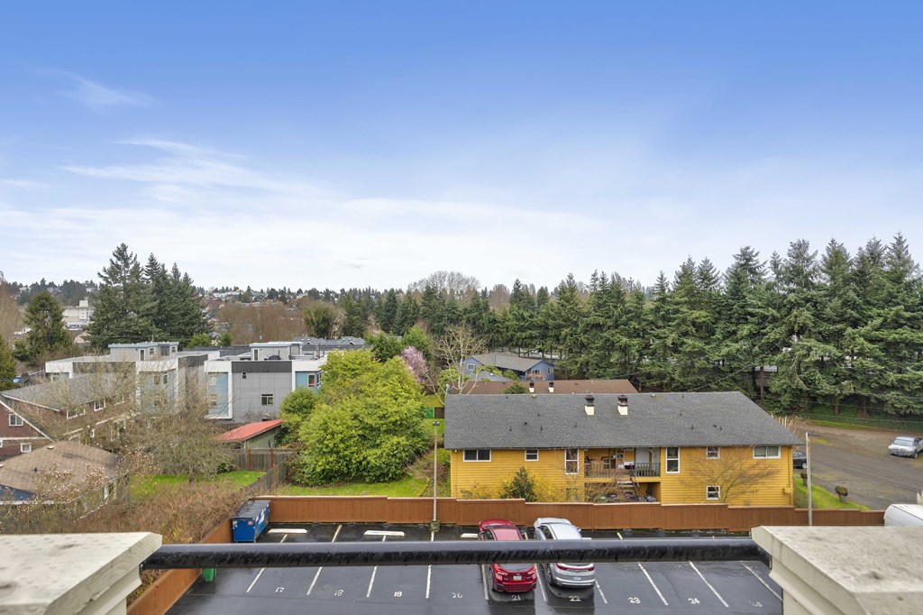 the view of the neighborhood from the roof of a building