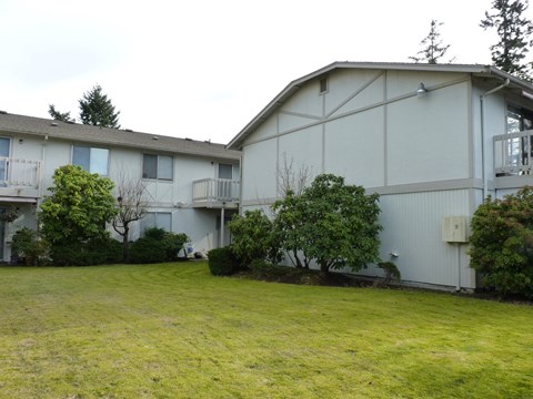 the view of our apartment building from the yard