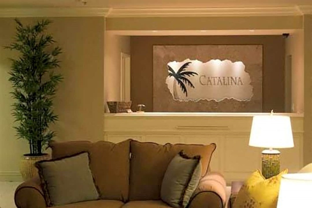 a living room with a couch and a plant