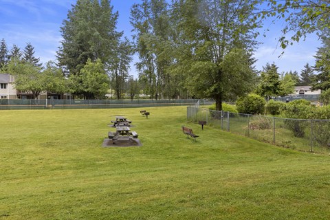 A park with a bench and a picnic table.