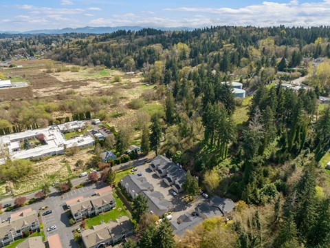 A bird's eye view of a residential area surrounded by trees.