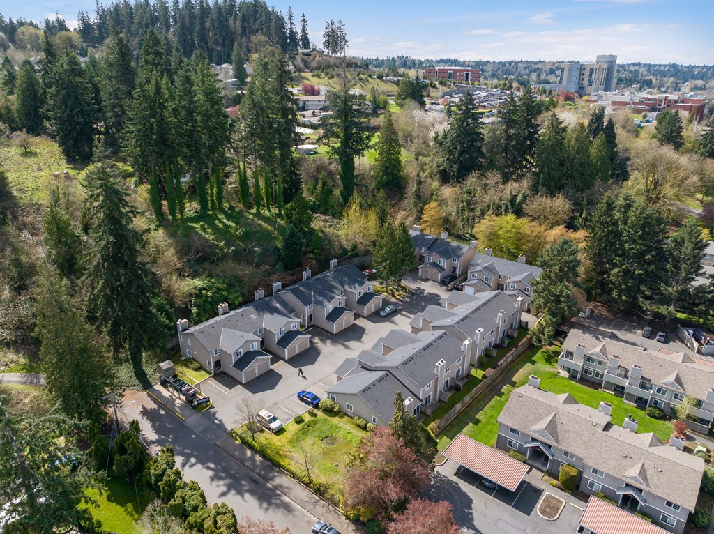 A bird's eye view of a residential area with houses and trees.