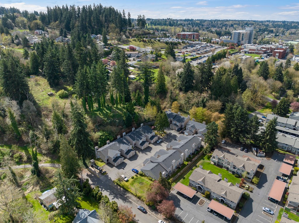 A bird's eye view of a residential area with houses and trees.