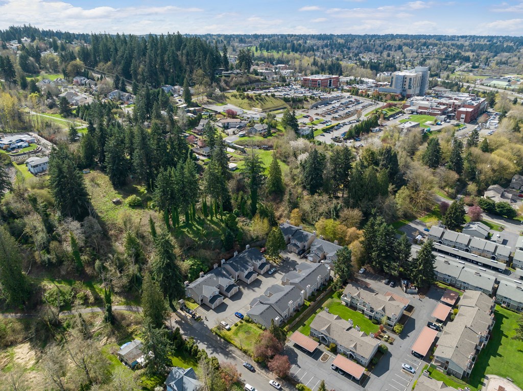 A bird's eye view of a residential area with houses and trees.
